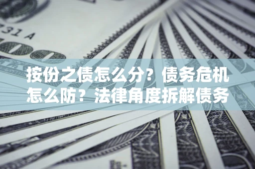 武汉按份之债怎么分？债务危机怎么防？法律角度拆解债务分配与风险自保指南