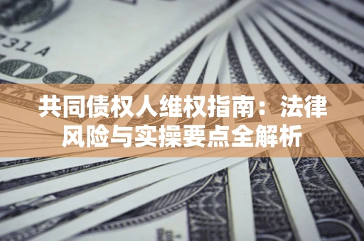 武汉共同债权人维权指南：法律风险与实操要点全解析