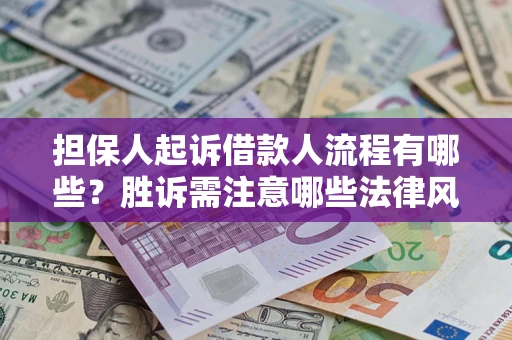 武汉担保人起诉借款人流程有哪些？胜诉需注意哪些法律风险？